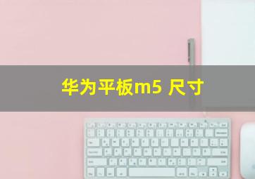 华为平板m5 尺寸